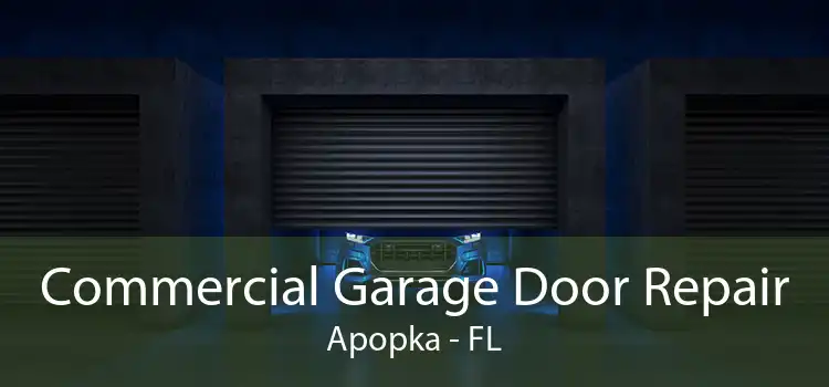 Commercial Garage Door Repair Apopka - FL