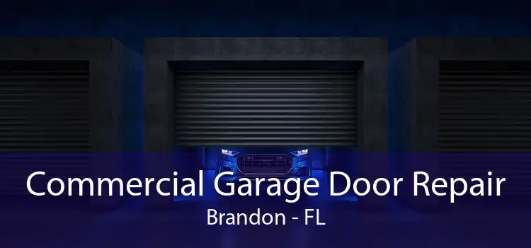Commercial Garage Door Repair Brandon - FL