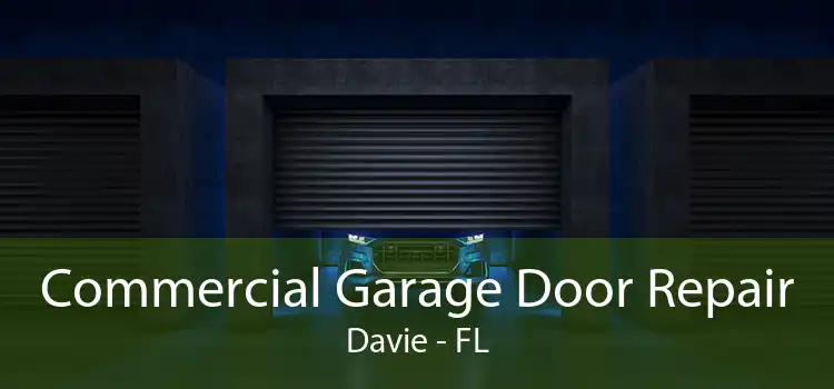 Commercial Garage Door Repair Davie - FL