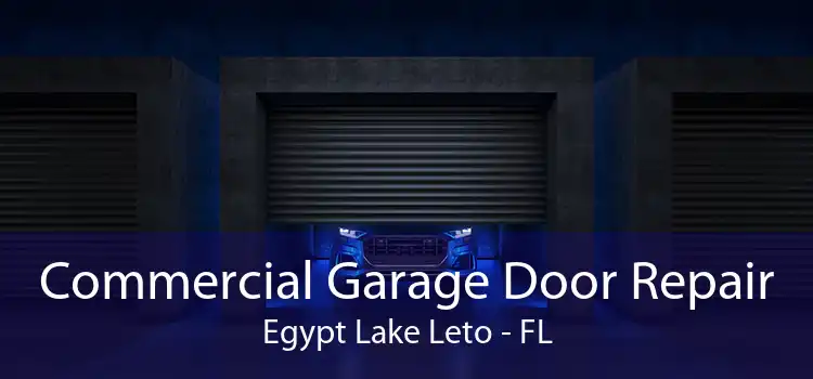 Commercial Garage Door Repair Egypt Lake Leto - FL