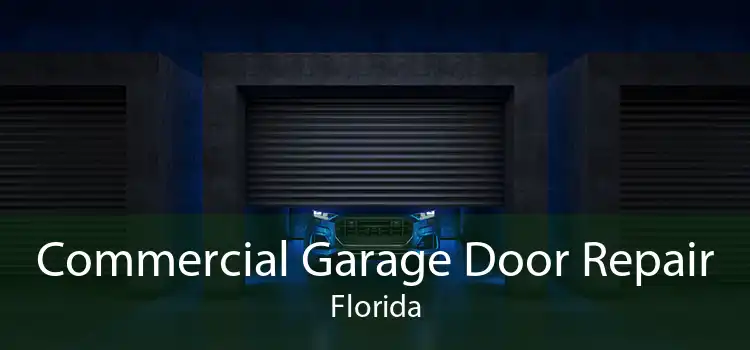 Commercial Garage Door Repair Florida