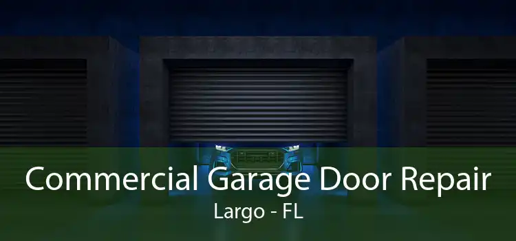 Commercial Garage Door Repair Largo - FL