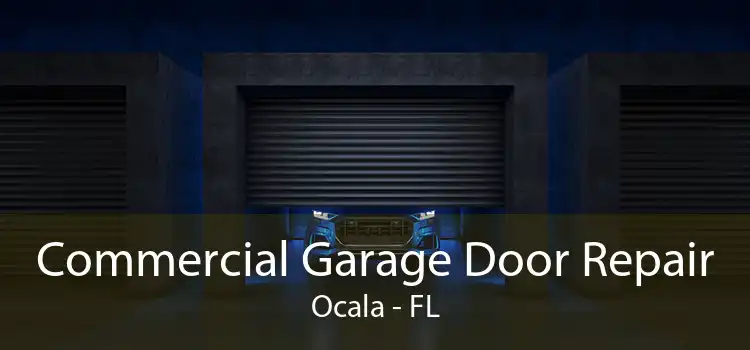 Commercial Garage Door Repair Ocala - FL