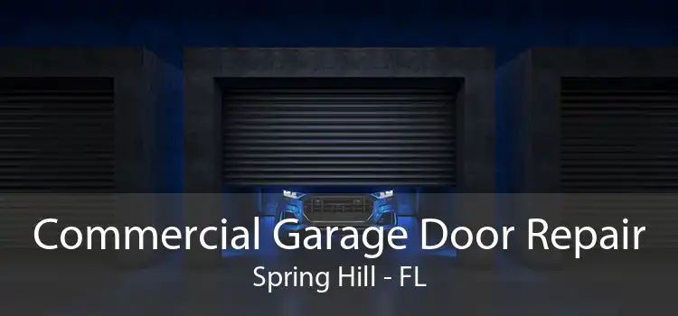 Commercial Garage Door Repair Spring Hill - FL