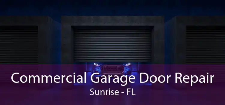 Commercial Garage Door Repair Sunrise - FL