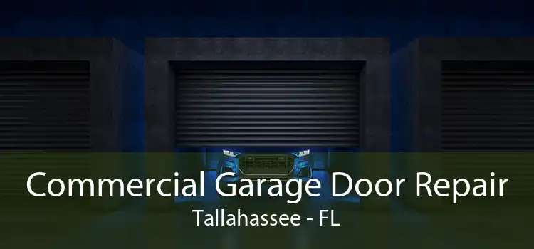 Commercial Garage Door Repair Tallahassee - FL