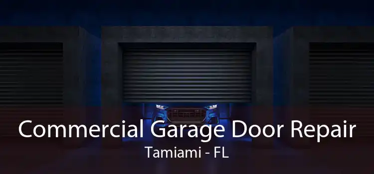 Commercial Garage Door Repair Tamiami - FL