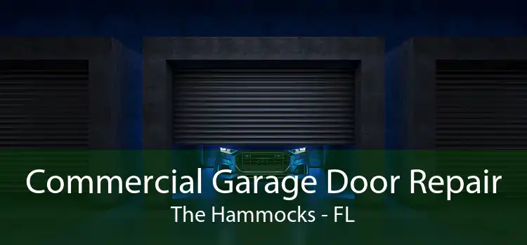 Commercial Garage Door Repair The Hammocks - FL