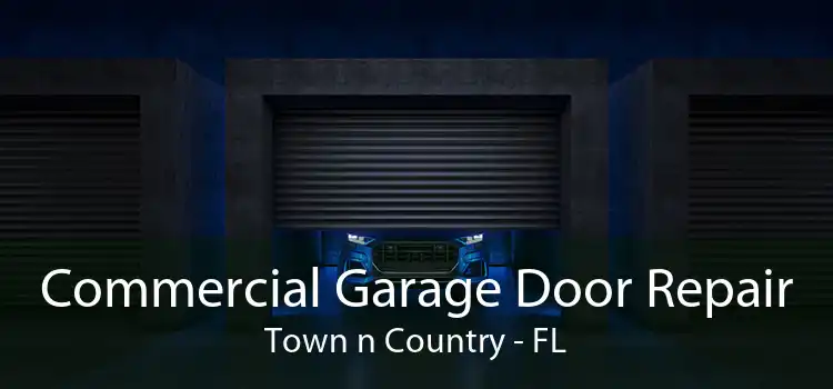 Commercial Garage Door Repair Town n Country - FL