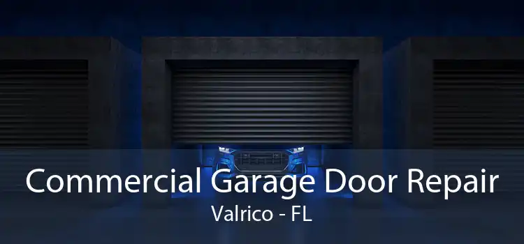 Commercial Garage Door Repair Valrico - FL