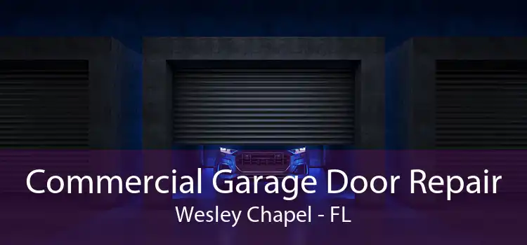 Commercial Garage Door Repair Wesley Chapel - FL