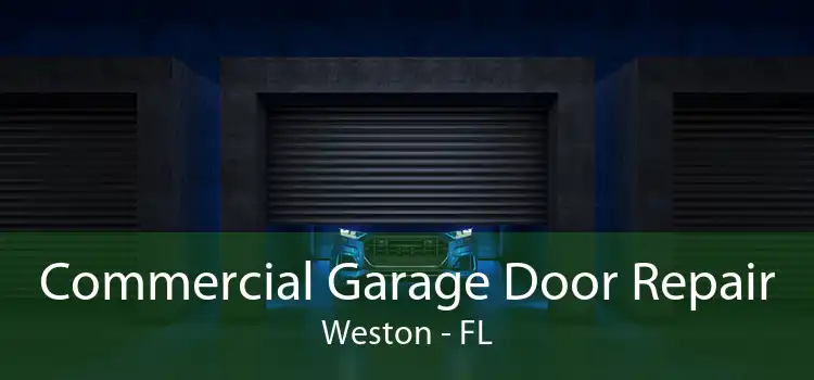 Commercial Garage Door Repair Weston - FL