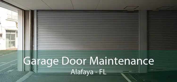 Garage Door Maintenance Alafaya - FL