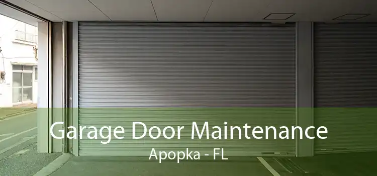 Garage Door Maintenance Apopka - FL