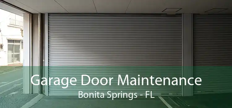 Garage Door Maintenance Bonita Springs - FL