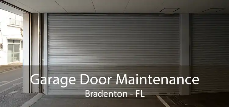 Garage Door Maintenance Bradenton - FL