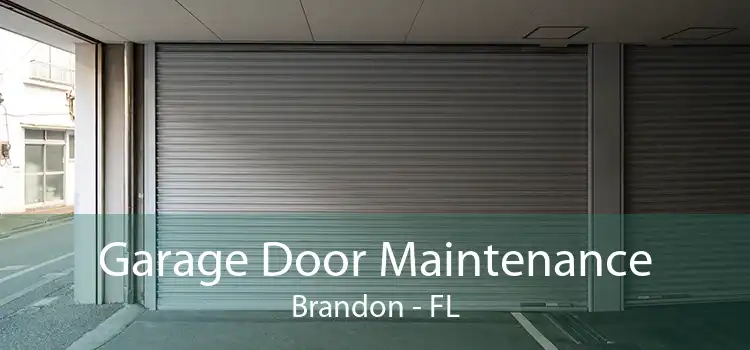 Garage Door Maintenance Brandon - FL