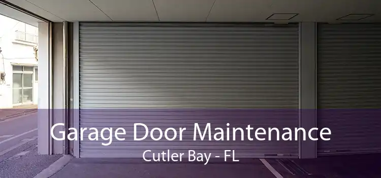 Garage Door Maintenance Cutler Bay - FL