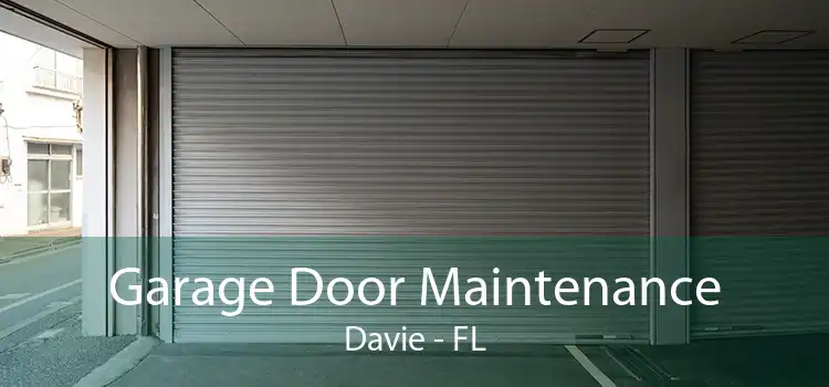 Garage Door Maintenance Davie - FL