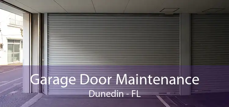 Garage Door Maintenance Dunedin - FL