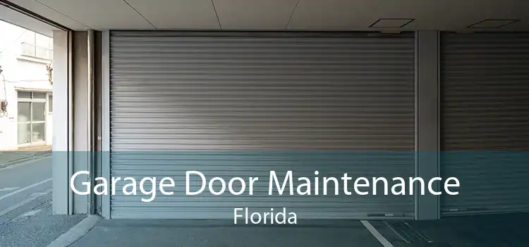 Garage Door Maintenance Florida