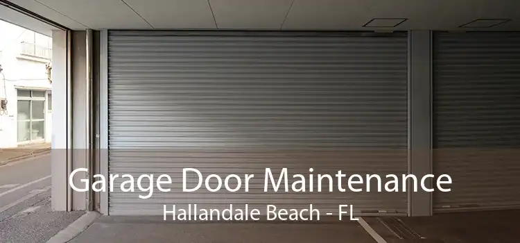 Garage Door Maintenance Hallandale Beach - FL