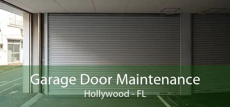 Garage Door Maintenance Hollywood - FL