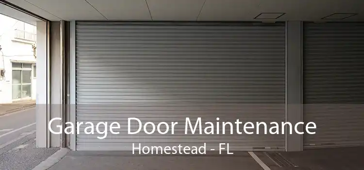 Garage Door Maintenance Homestead - FL