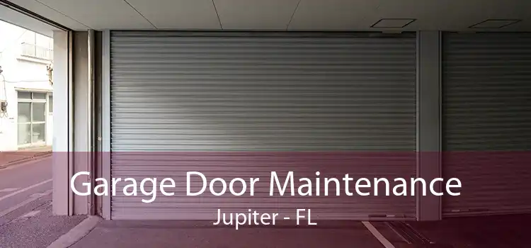 Garage Door Maintenance Jupiter - FL