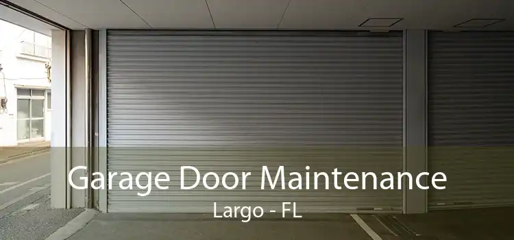 Garage Door Maintenance Largo - FL