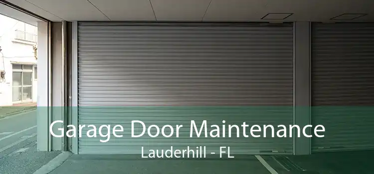 Garage Door Maintenance Lauderhill - FL