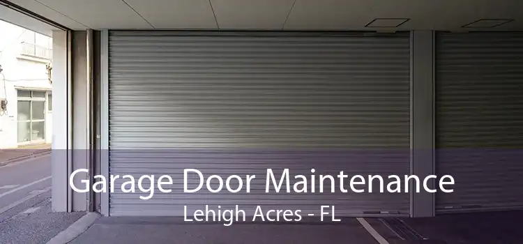 Garage Door Maintenance Lehigh Acres - FL