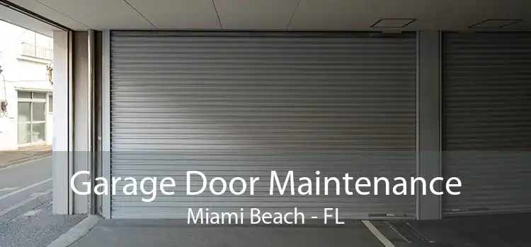 Garage Door Maintenance Miami Beach - FL