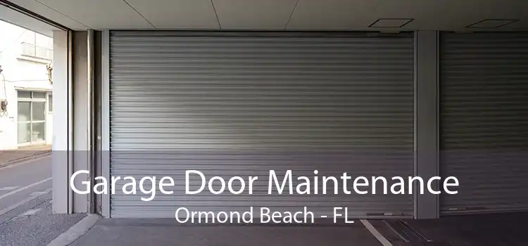 Garage Door Maintenance Ormond Beach - FL