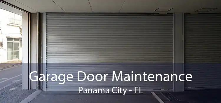 Garage Door Maintenance Panama City - FL