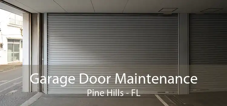 Garage Door Maintenance Pine Hills - FL