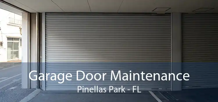 Garage Door Maintenance Pinellas Park - FL