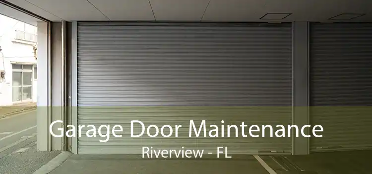 Garage Door Maintenance Riverview - FL