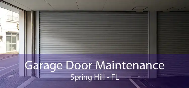 Garage Door Maintenance Spring Hill - FL