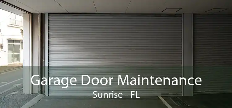 Garage Door Maintenance Sunrise - FL