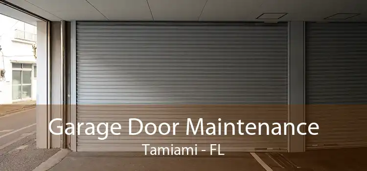 Garage Door Maintenance Tamiami - FL
