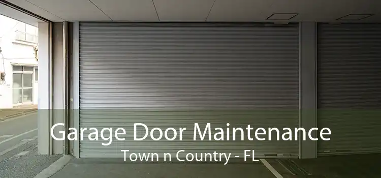 Garage Door Maintenance Town n Country - FL