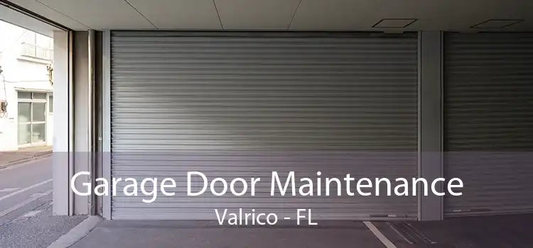 Garage Door Maintenance Valrico - FL