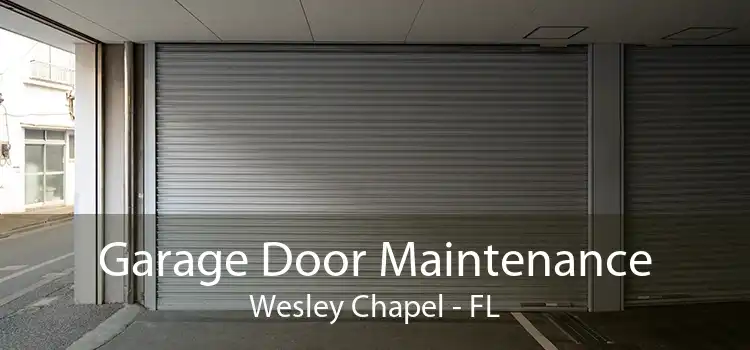 Garage Door Maintenance Wesley Chapel - FL