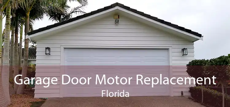 Garage Door Motor Replacement Florida