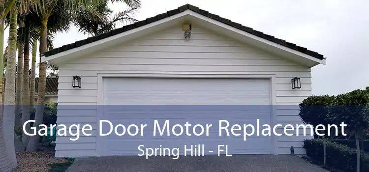 Garage Door Motor Replacement Spring Hill - FL