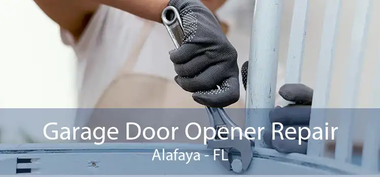 Garage Door Opener Repair Alafaya - FL