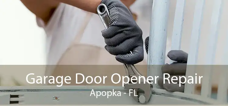 Garage Door Opener Repair Apopka - FL