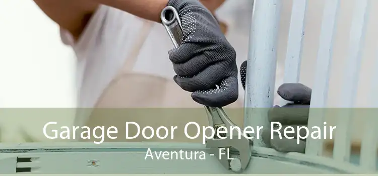 Garage Door Opener Repair Aventura - FL