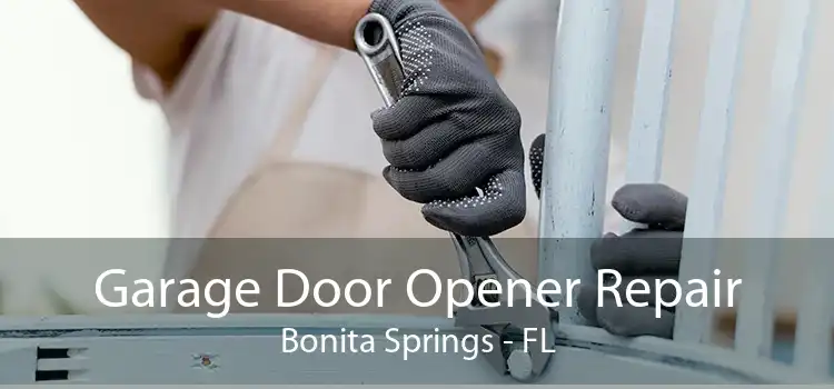 Garage Door Opener Repair Bonita Springs - FL